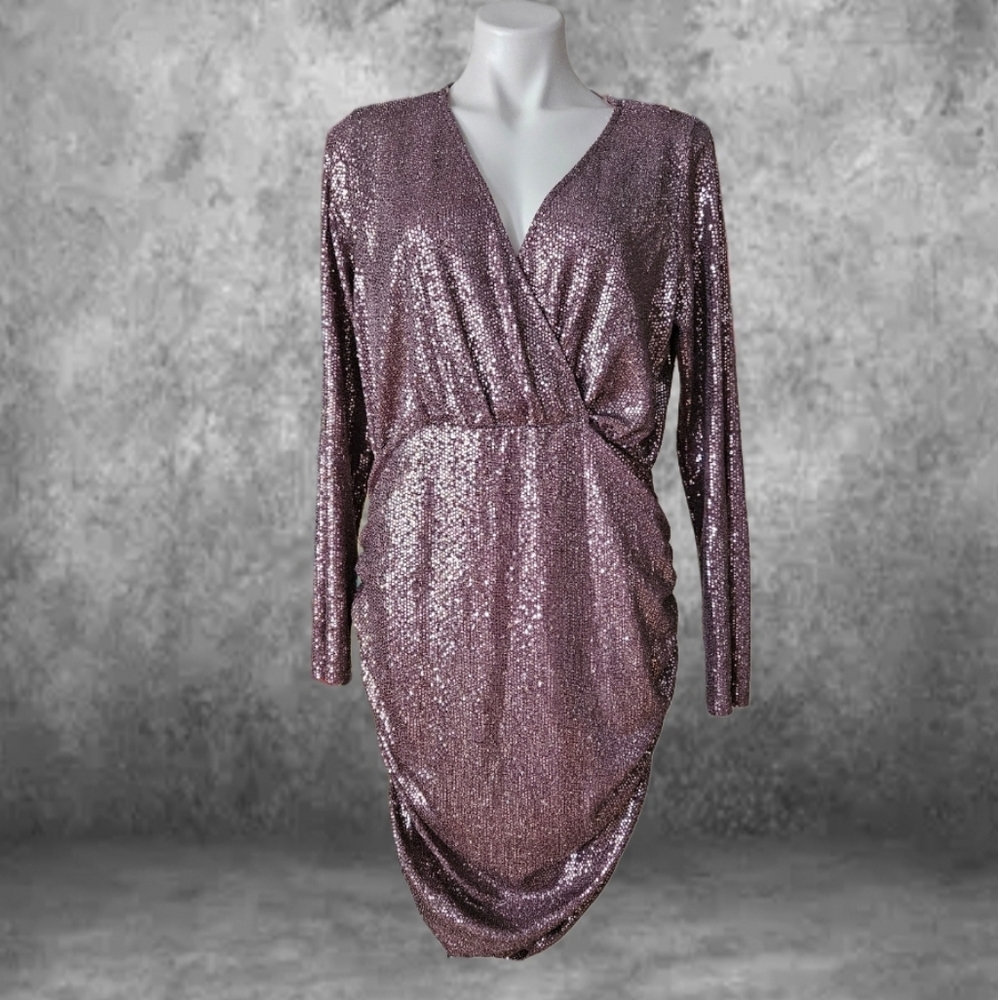 Bluebell Sequin Ruched Mini Dress 2XL